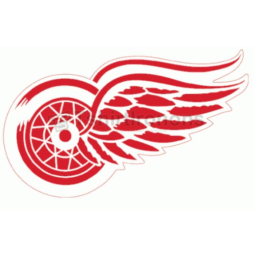Detroit Red Wings T-shirts Iron On Transfers N146